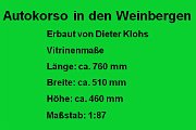 Autokorso33