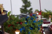 P1010627