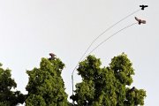 DSCN4508