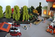DSCN4564